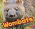 Go to record Wombats