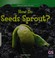 Go to record How do seeds sprout?