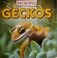 Go to record Geckos