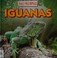 Go to record Iguanas