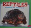 Go to record Reptiles : a question and answer book