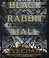 Go to record Black Rabbit Hall a novel