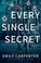 Go to record Every single secret : a novel