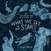 Go to record What we see in the stars : an illustrated tour of the nigh...