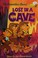 Go to record The Berenstain Bears lost in a cave