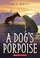 Go to record A dog's porpoise