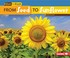 Go to record From seed to sunflower